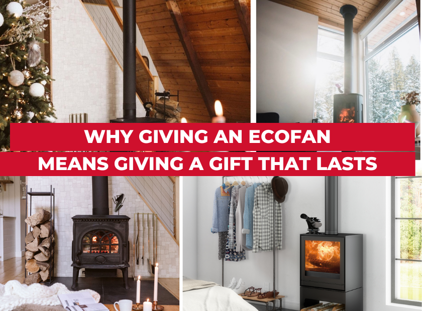 Giving a Gift that Lasts- Your Ecofan Holiday Shopping Guide