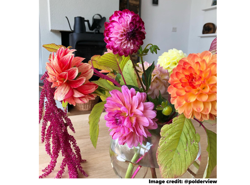 Wood stove with flowers and Ecofan